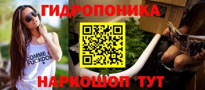 экстази Кингисепп