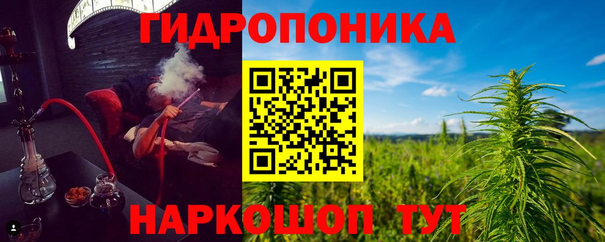 Конопля Ganja  Вход с VPN  Марихуана Bruce Banner  Конопля индика  Красноярск 